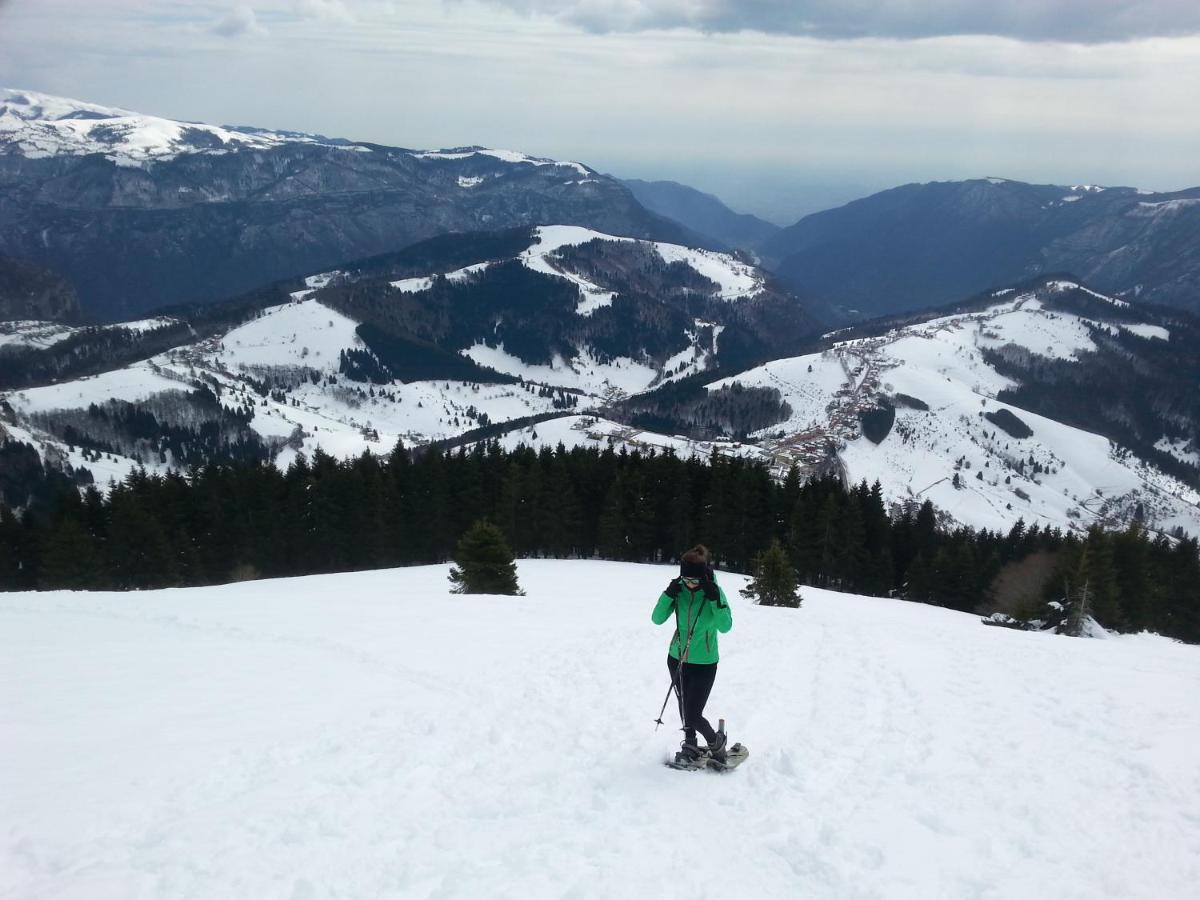 Alpi -