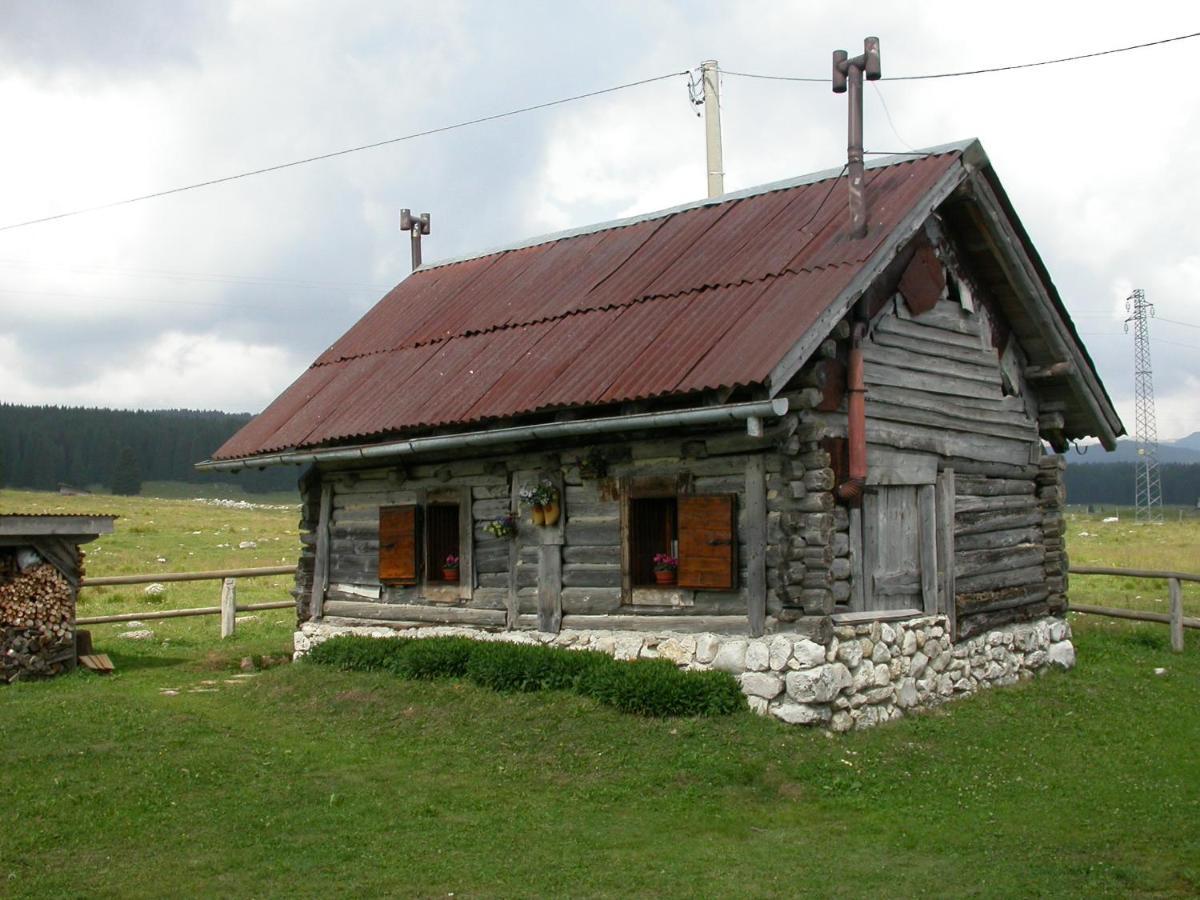 Hotel Alpi - 2*